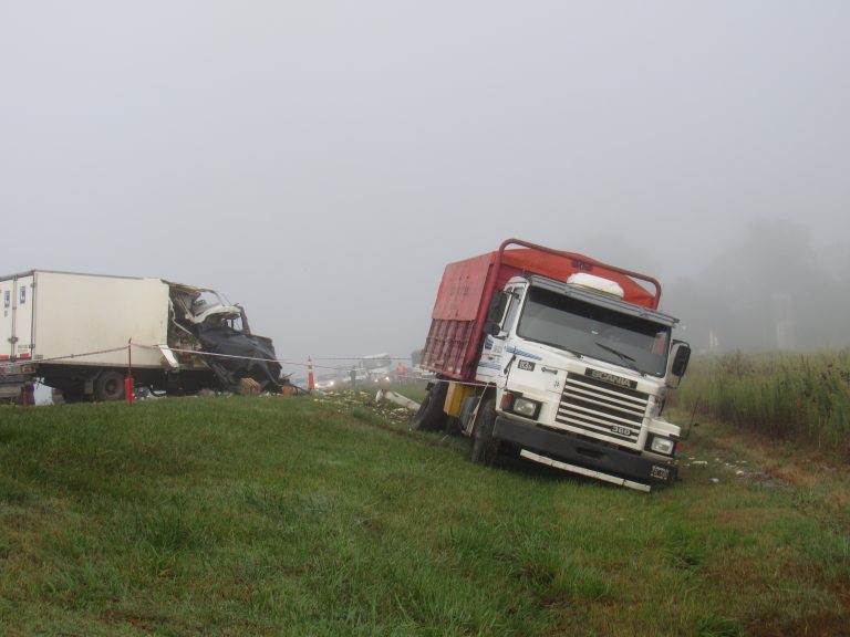 Chocaron dos camiones: un nuevejuliense fallecido