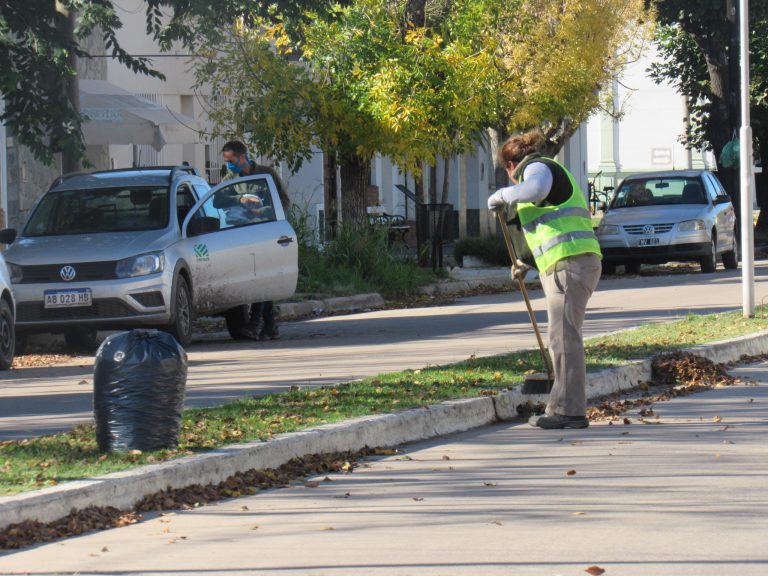 Intensa tarea del sector de barrido