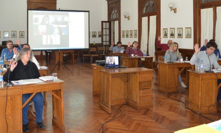 El Concejo Deliberante sumó la participación virtual