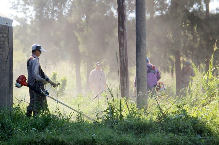 Cortadores de pasto deberán solicitar un permiso
