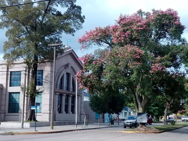 Convocan a una nueva colecta de sangre