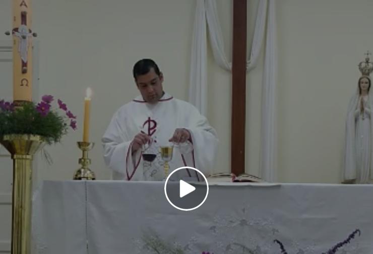 La Misa de Pascua, fue tramitida en vivo desde la Catedral