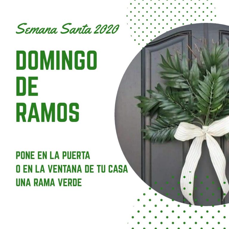 Un Domingo de Ramos distinto