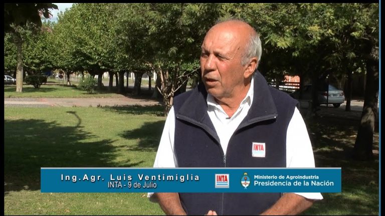 Son excelentes las expectativas para la campaña de trigo