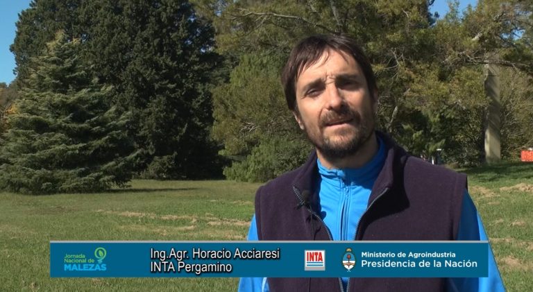 Nueva charla on line en Sociedad Rural: Estrategias de Barbecho y Malezas