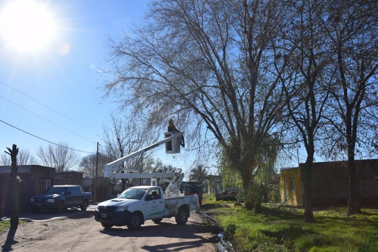 Poda: está habilitada la solicitud de permisos