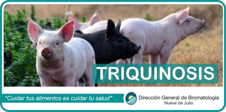 Triquinosis: aspectos para tener en cuenta