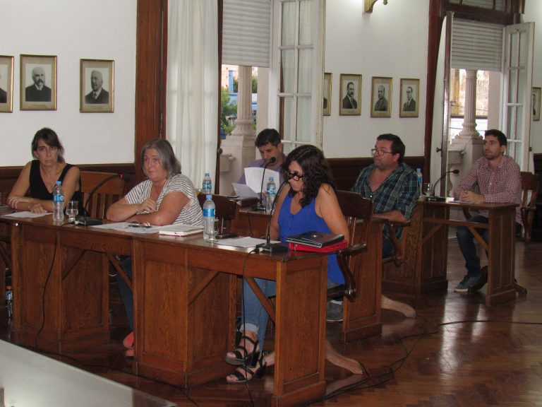 Presentación de proyectos en el Concejo Deliberante