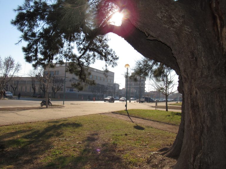 Se permite la actividad deportiva en plazas y parques