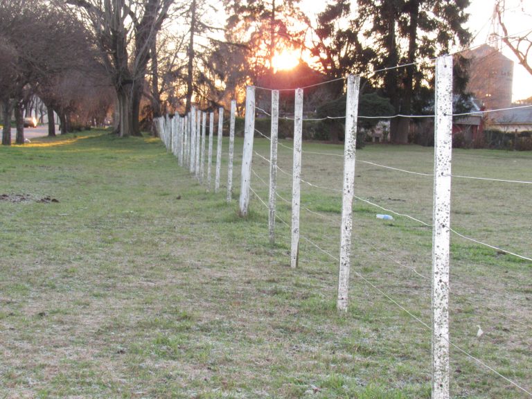 La helada se hizo sentir con una mínima bajo cero