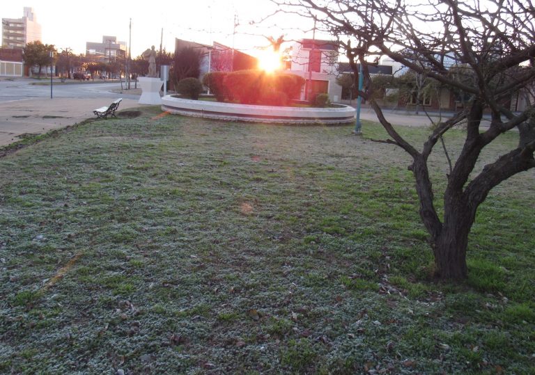 La mínima de hoy fue de -1.3º