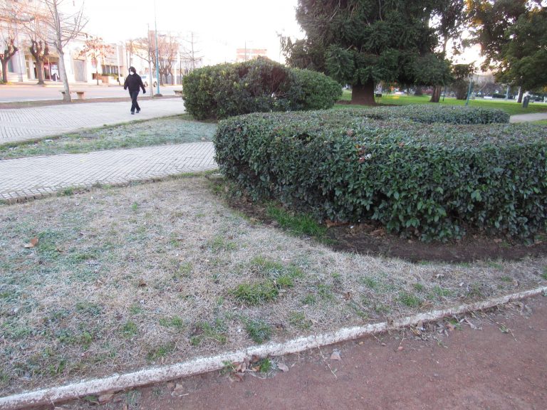 Otra jornada «helada»