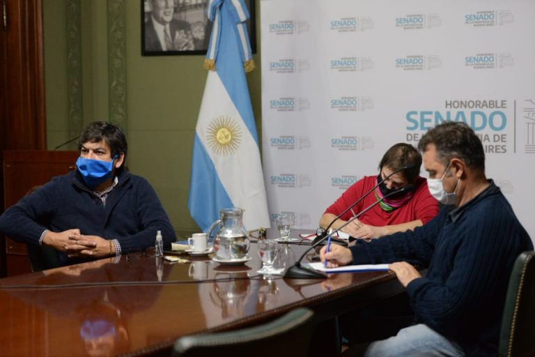 Se trabaja en un proyecto de producción de plasma con equinos