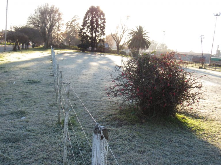 Hoy la temperatura llegó a 3 grados bajo cero