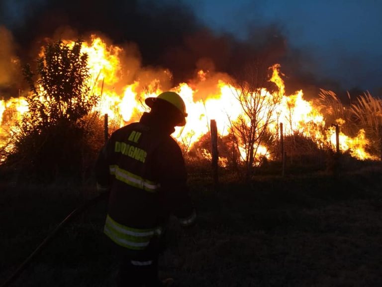 Un incendio en un campo afectó 80 hectáreas