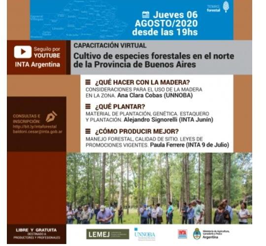 Capacitación hoy 19 hs: Cultivo de especies forestales