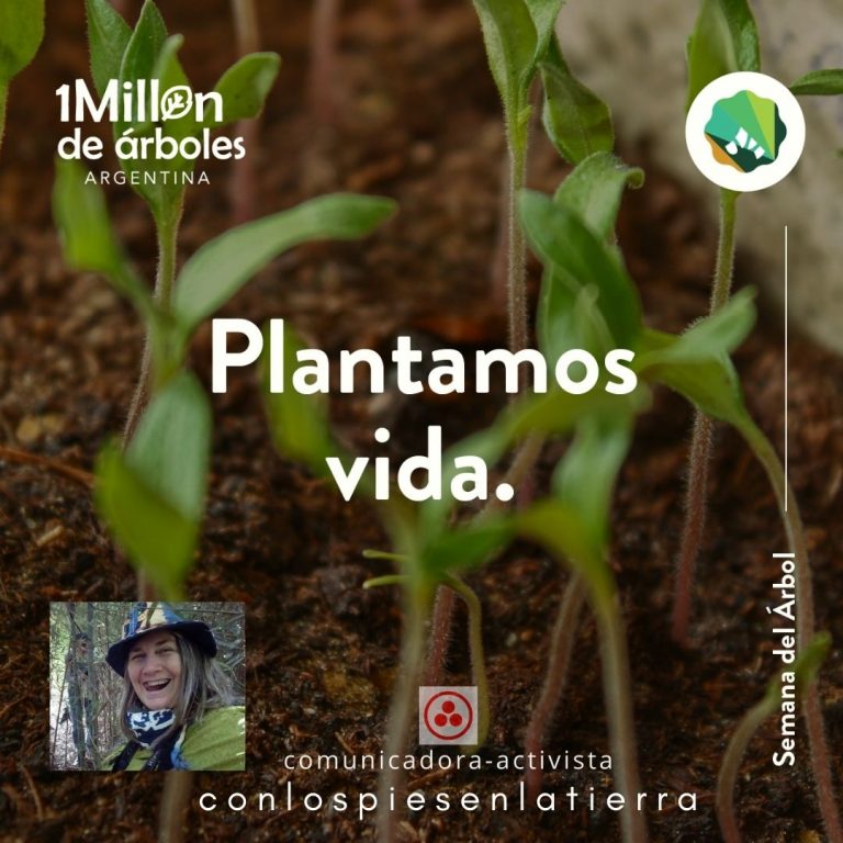 Semana del Árbol, por Mariel Amestoy