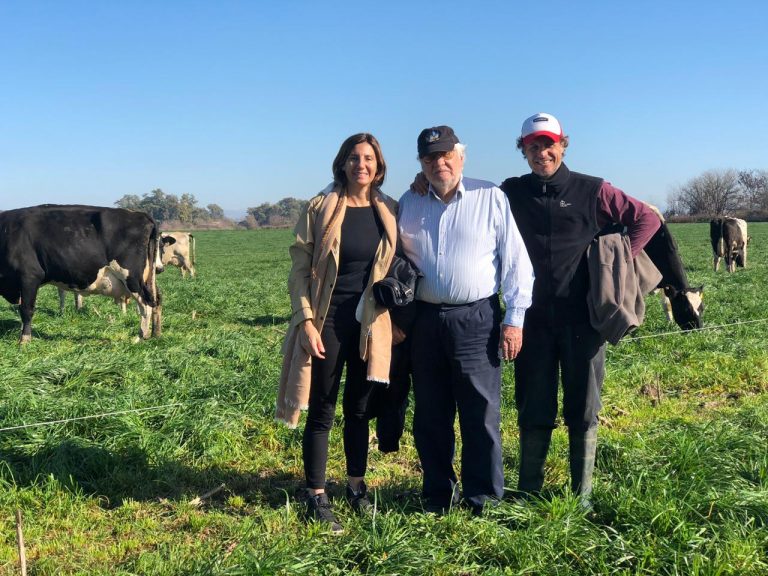 Ser eficientes y producir leche de calidad