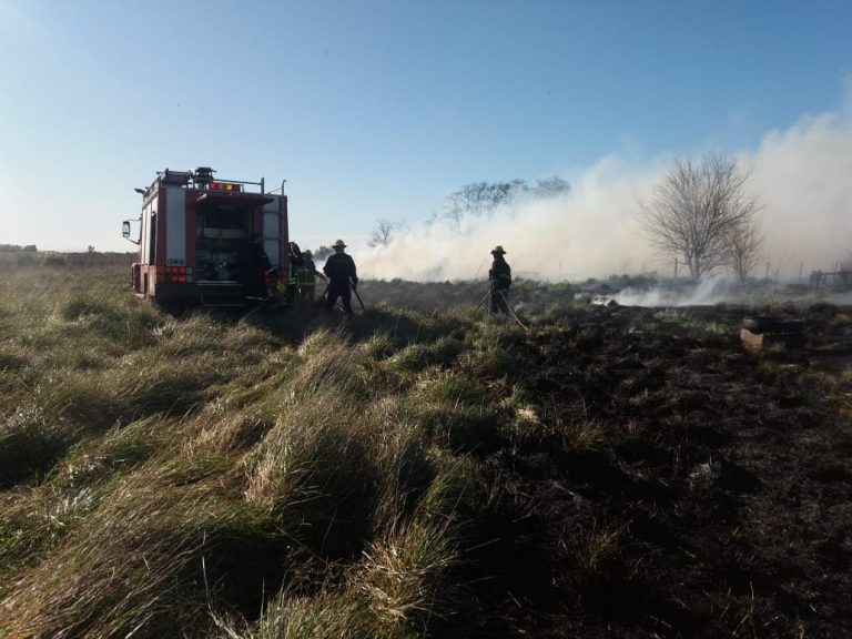 Cuatro salidas tuvieron los Bomberos