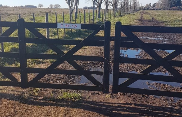 Proponen llevar a la Provincia la experiencia de 9 de Julio