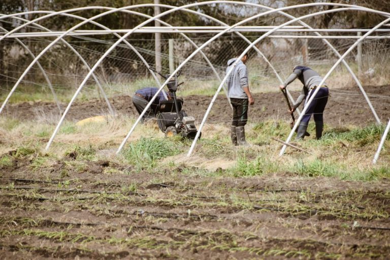 El Proyecto Hortícola de 12 de Octubre avanza en sus objetivos