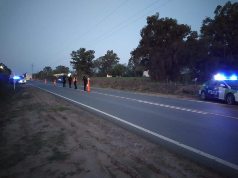 Operativos en los ingresos: dos detenidos