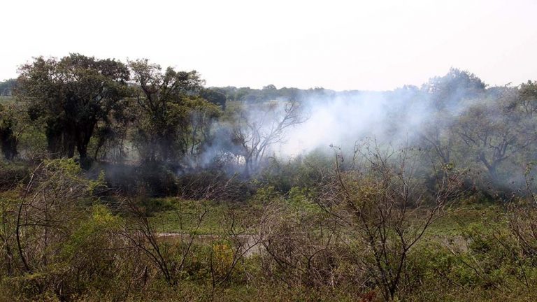 Los incendios se encuentran extinguidos o bajo guardia de cenizas
