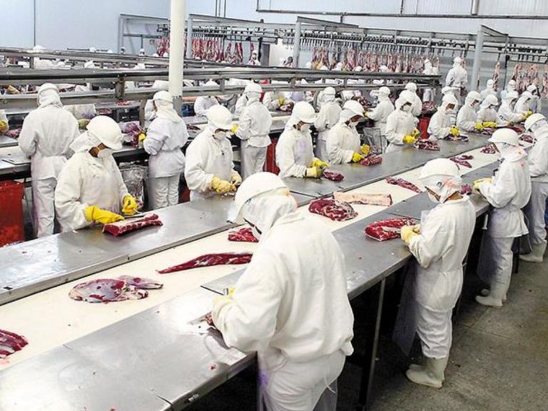 SENASA- Alimentos seguros