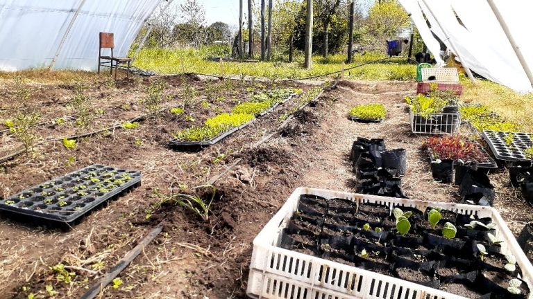 Se agrega un nuevo invernáculo al proyecto hortícola de 12 de octubre