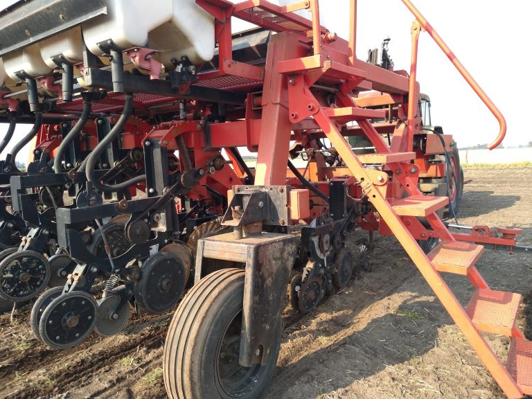 Evaluarán el período crítico de los híbridos