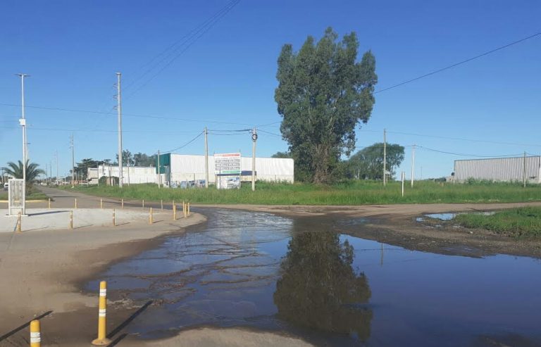 Pedido por la rotonda de Urquiza y Agustín Alvarez