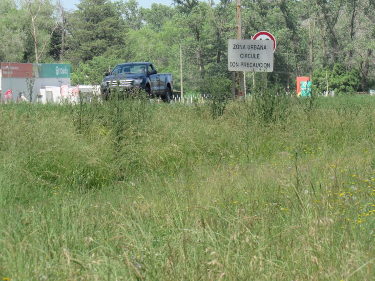 Banquinas abandonadas en la Ruta 5
