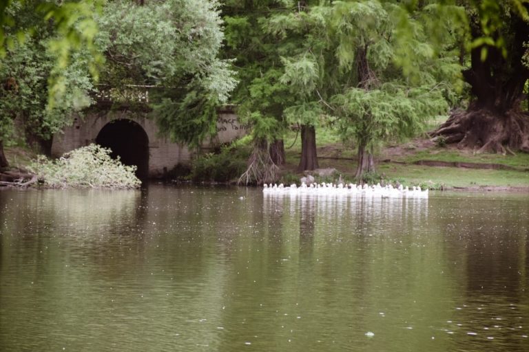 El proyecto Reserva Natural «La Isla» se presentó en sociedad