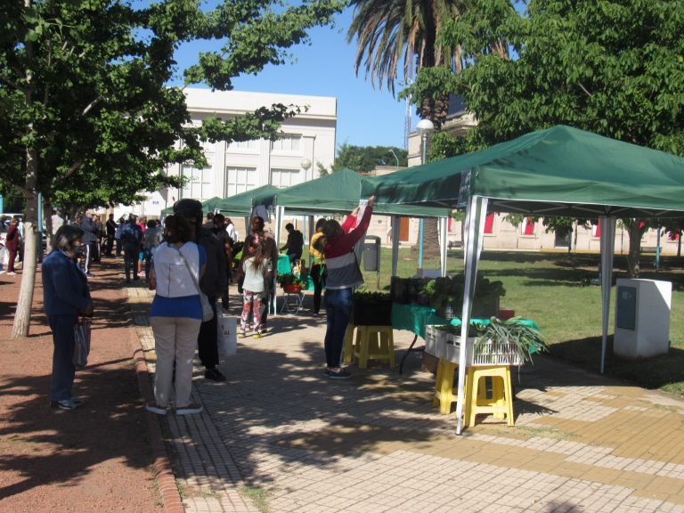 Huerteros reanudaron las ferias