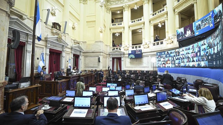Legalización del aborto: el Senado votaría el 29 de diciembre
