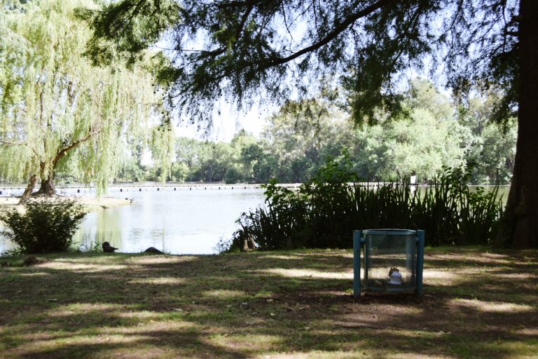 Tras mortandad de animales, prohiben el ingreso al Parque San Martín