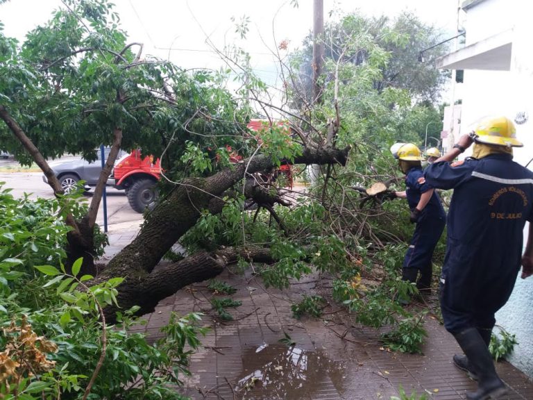 El viento ocasionó muchos daños