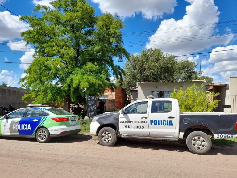Robaron un celular y fueron detenidos
