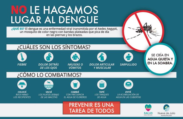 Recomendaciones para la prevención del dengue