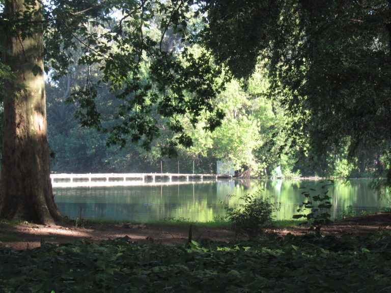 Reabren el Parque para actividades aeróbicas