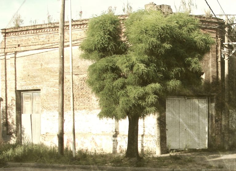 «La Stella D’Italia», un almacén de ramos generales y una esquina con historia