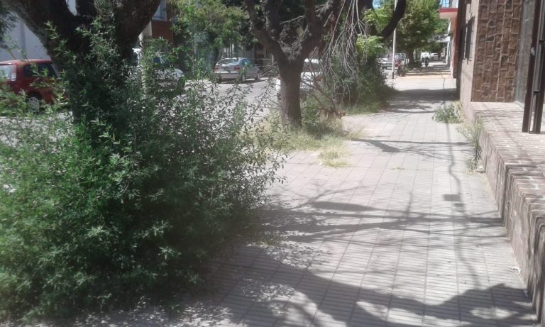 La estética urbana, una responsabilidad de todos