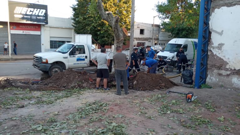 Una extracción de árboles dañó un caño de agua