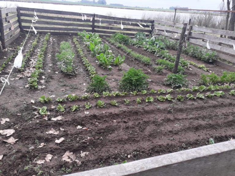 El Pro Huerta inicia el ciclo de charlas on line