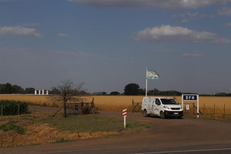 DFH está entre las empresas argentinas que más crecieron