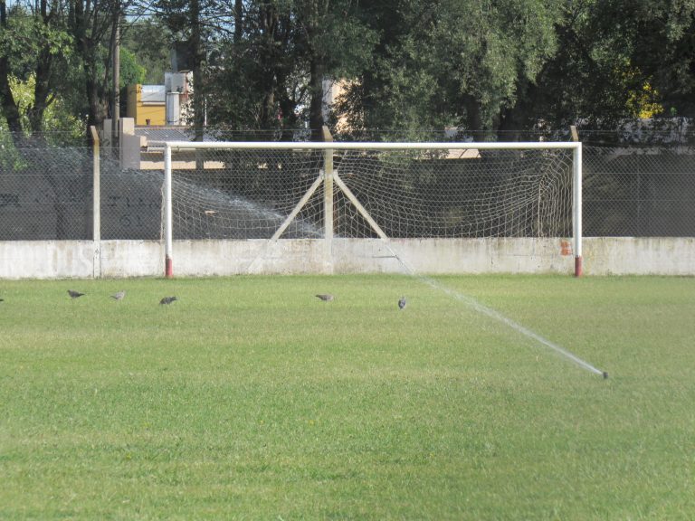 Es incierta la fecha de inicio del fútbol local