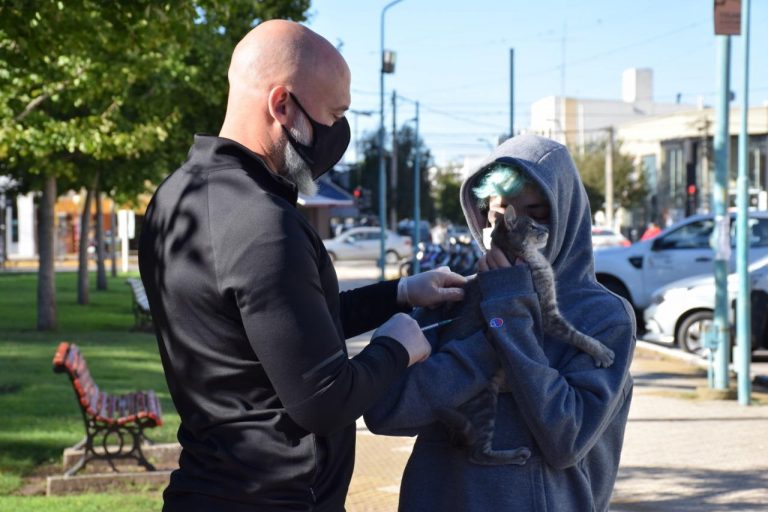 Vacunaron a 500 mascotas con la Antirrábica