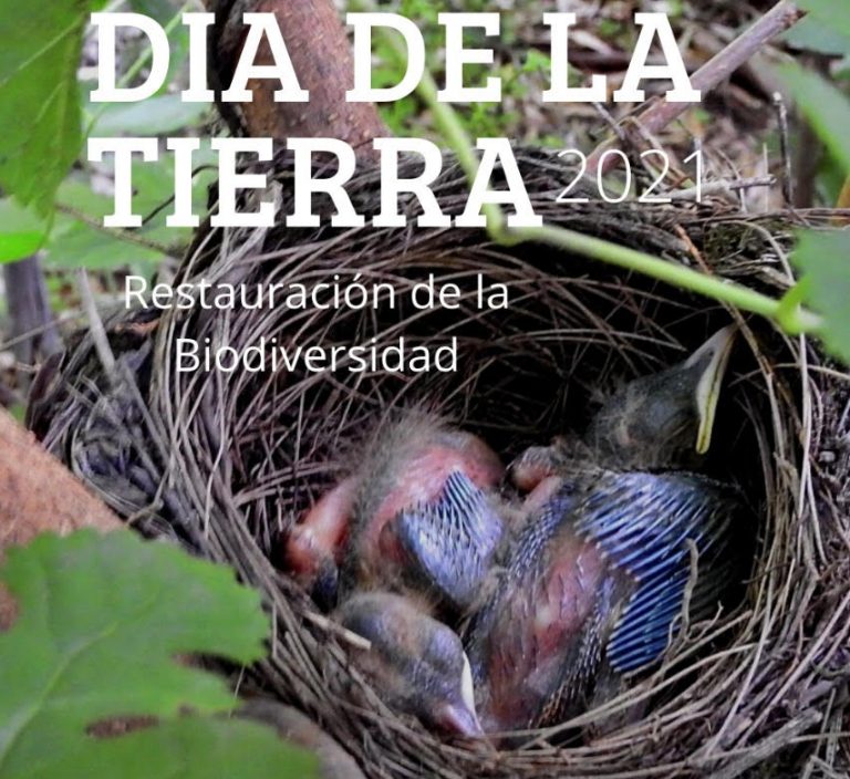 Día de la Tierra: Restauración de la Biodiversidad