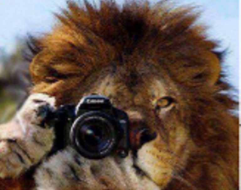 El Club de Leones convoca al Concurso Fotográfico