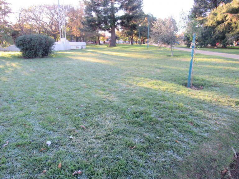 La mínima volvió a ser 2.3ºC
